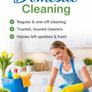 Domestic Cleaning